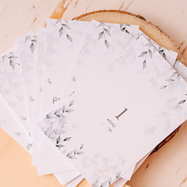 Tarjetas seguimiento Cumplemes Bebe - TWINS BY BCN LETTERS